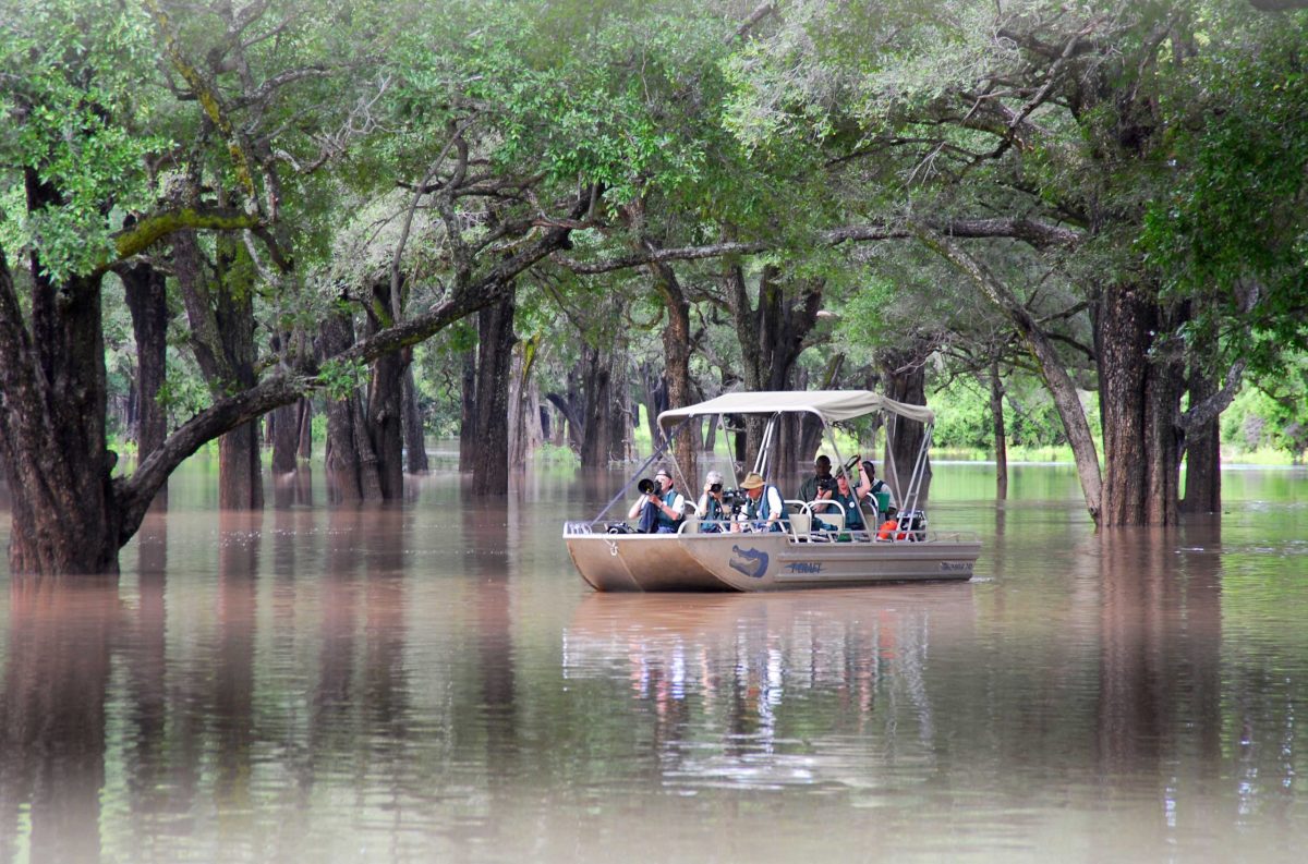 Robin Pope Safaris Emerald Season