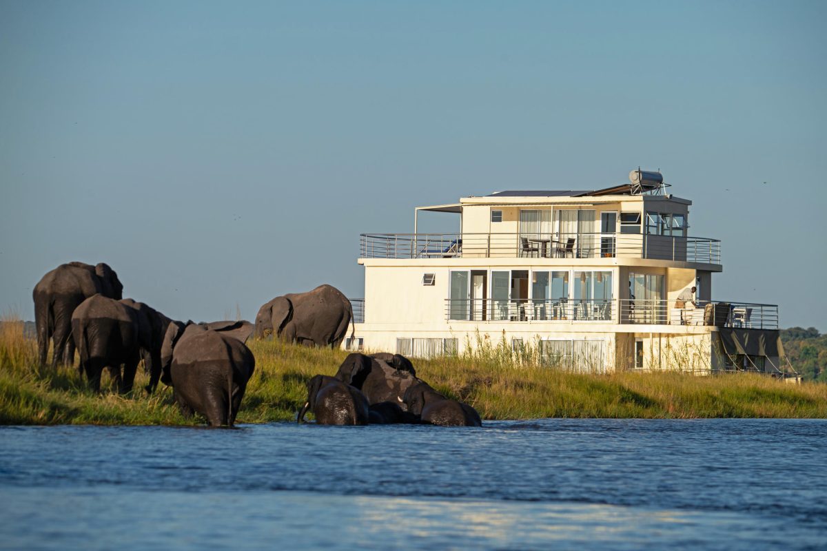 Water based safari