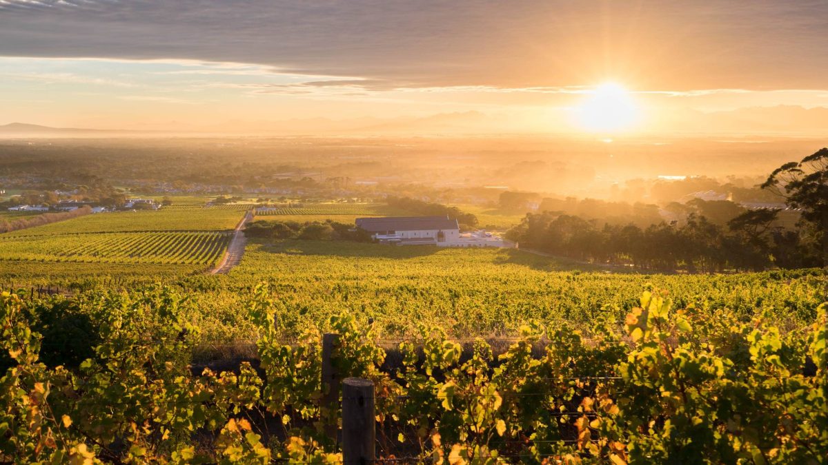 18.-Steenberg-Farm-View-at-Sunrise_compressed